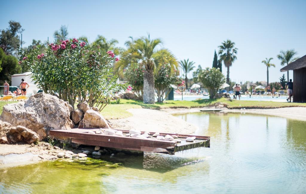 Yellow Alvor Garden Exterior photo